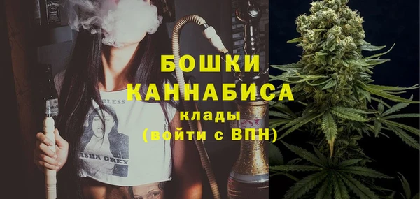 дживик Семилуки