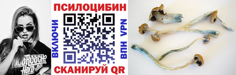 Галлюциногенные грибы Cubensis Дзержинский