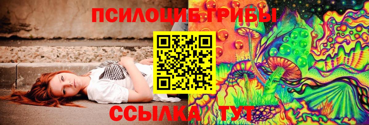 Галлюциногенные грибы Cubensis  Вход с VPN  наркошоп  Дзержинский 